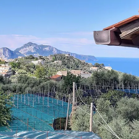 La Lobra Dependance * マッサ・ルブレンセ