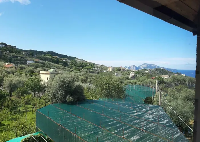 La Lobra Dependance *