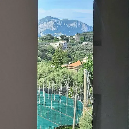 La Lobra Dependance *